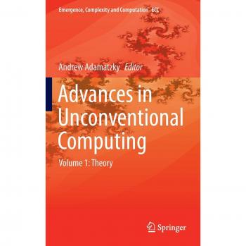 Advances in Unconventional Computing: Volume 1: Theory