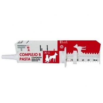 CHEMICAL IBERICA S.L. COMPLEJO B PASTA 30 ML (CH