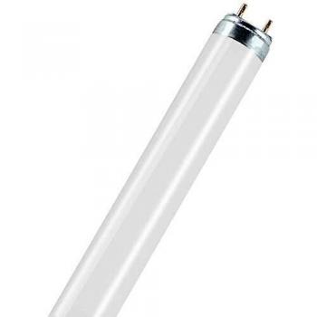 Osram Lámpara Fluorescente, 36 W