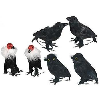 PAJAROS SURTIDOS