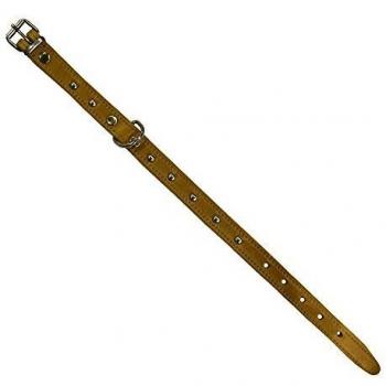 Mapel 1006 Collar de Perro con Remaches 45 cm