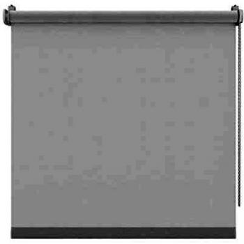 Tendina a Rullo Traslúcida Blanca 67x160 cm