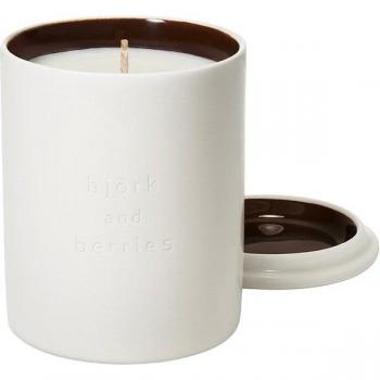 White Forest Aromatic Candle - 0.24 kg Natural Wax Essence