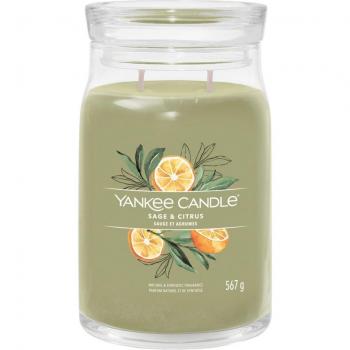 Yankee Candle Signature Sage & Citrus Large Jar Candle 567 g