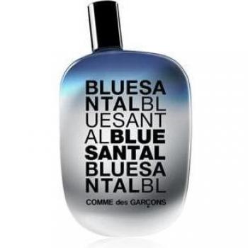 Comme des Garçons Blue Santal Eau de Parfum Spray 100ml (3.4oz)