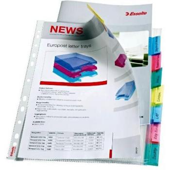 Juego de 8 separadores intercalares personalizables para formato A4 con colores variados y perforación universal