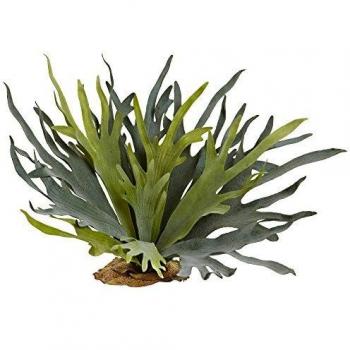 Nearly natural 6107s2 21z staghorn fern set of 2 2 piece