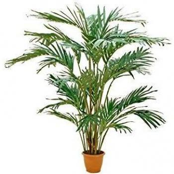 Europalms Kanarischen Dattelpalme - Planta Artificial