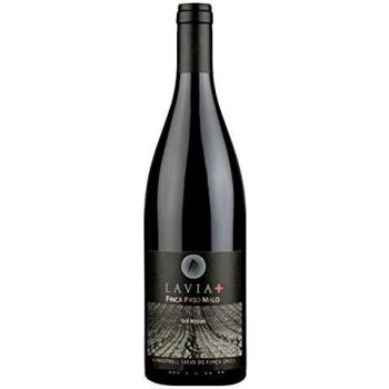 Vino Tinto Lavia + Finca Paso Malo