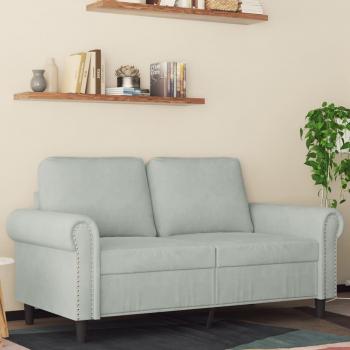 Sofá 2 plazas gris claro 120 cm en terciopelo Vidaxl