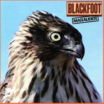 Blackfoot Marauder Vinyl LP - Authentic Music Experience