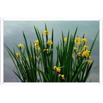 Metal cartel Cartel de chapa Hojalata sesión Flower Tin Sign Daffodils Flowers Herbs Spring Sky Cloudy 35215 Retro Vintage Pared Decoración by hamgaacaan