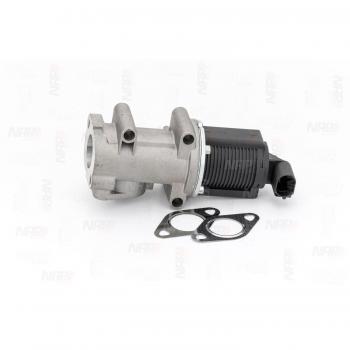 Válvula EGR NAP carparts CAV10017