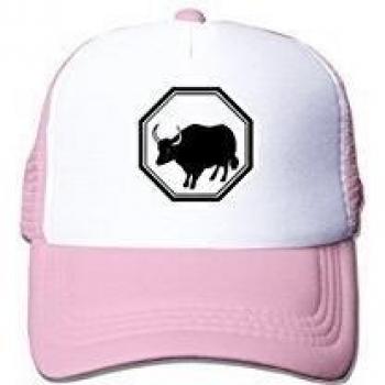Oxen Nylon Adult Baseball Cap Mesh Hat