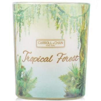 Tropical Forest 100% Beeswax Votive Candle - 65g/2.3oz by The Candle Company
