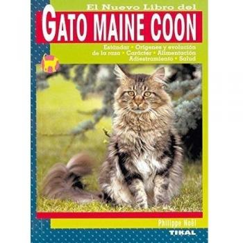 Gato Maine Coon, El