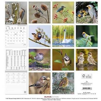 Birds Square Wall Calendar 2022