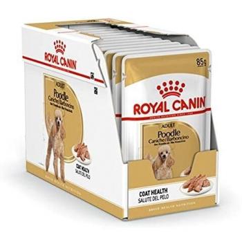 Royal Canin Poodle Adult - 12 x 85 g