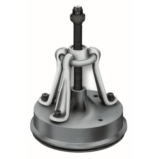 Imagen Principal