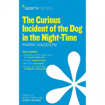 Curious Incident of the Dog in the Night-Time
