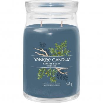 Yankee Candle Signature Bayside Cedar Large Jar Candle with Double Wicks, 567 g, Soy Wax Blend Long Burning Candle