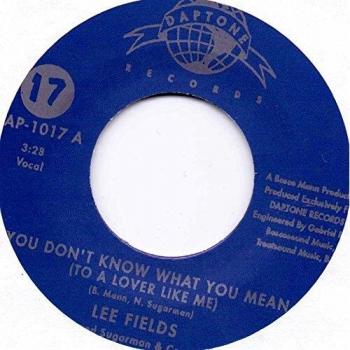 You dont know what you mean could have been vinilo