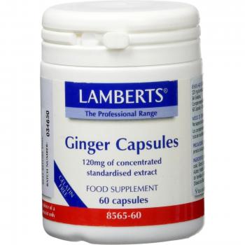 Lamberts Raíz de Jengibre 120Mg - 60 Cápsulas