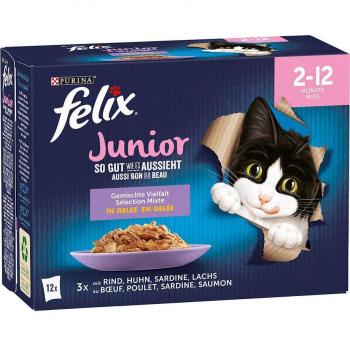 Felix Fantastic Junior in Jelly - Variety Pack 48 x 85g: Chicken, Beef, Salmon, Sardine