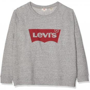 Levi's Plus Size Pl Relaxed Graphic Crew, suéter para Mujer, Gris