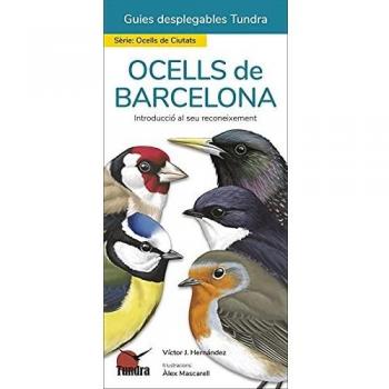 Ocells de Barcelona. Introducció al seu reconeixement