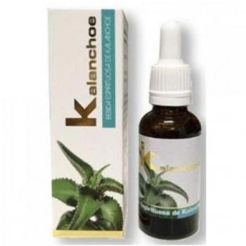 Extracto de Kalanchoe Lumen 50ml