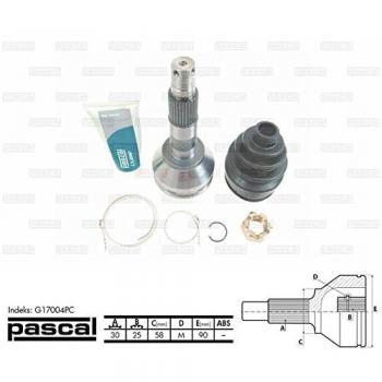 Juego de Articulación para Árbol de Transmisión PASCAL G17004PC Radial