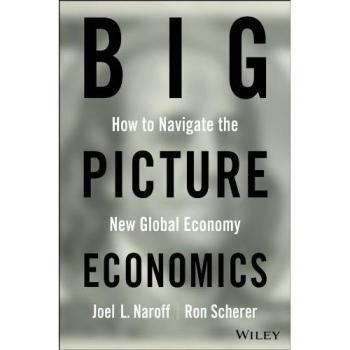 Comprehensive Economic Overview: Big Picture Economics (Hardback)