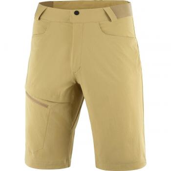 Salomon Wayfarer - Short de hombre