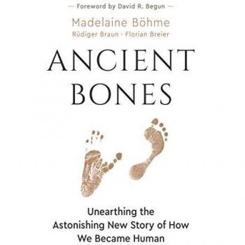 Ancient bones unearthing the astonishing new story of how we became human