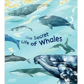 The Secret Life of Whales