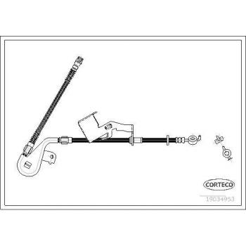 Latiguillo de freno CORTECO 19034953 - Tipo: Latiguillo de freno; Características: Fabricado por CORTECO, número de referencia 19034953, diseñado para sistemas de frenos automotrices