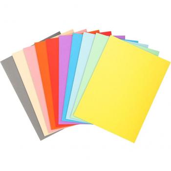 10 packs de 10 Subcarpetas Forever® 170 - Exacompta 420100E - 170 g/m2 Multicolor