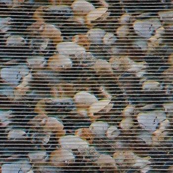 Maurer 5540827 - Antideslizante multiusos, diseño piedras, 65 cm x 15 m