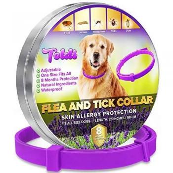 Toldi Tratamiento de pulgas para Perros, Collar antiparasitario Perros, Collar antipulgas Perros Ajustable, 8 Meses de protección garrapatas para Cachorros, Collar Repelente de piojos y garrapatas