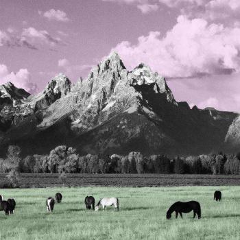 Yellowstone [VINYL] [Vinilo]