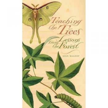 Teaching the Trees: Forest Education Guide