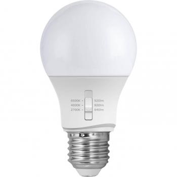 FUMAGALLI Bombilla LED E27 A60 - 8.5W - CCT