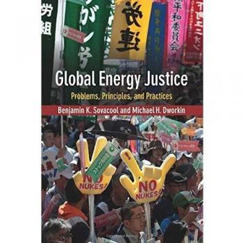 Global Energy Justice: Issues, Principles, and Practices in Sustainable Energy Solutions