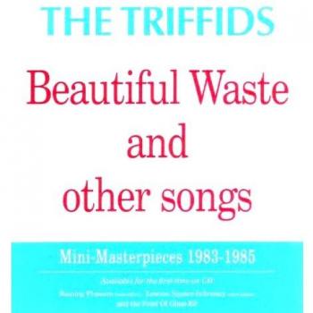Beautiful Waste And Other Songs