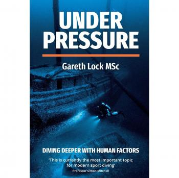 Under Pressure: Exploring Human Factors in High-Stress Environments