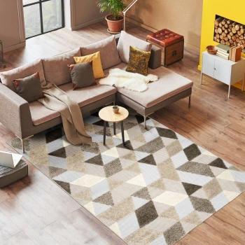 Alfombra Geométrica para Interior y Exterior 160 x 230 cm Gris/Beige/Brun