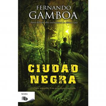 Ciudad Negra - Fernando Gamboa