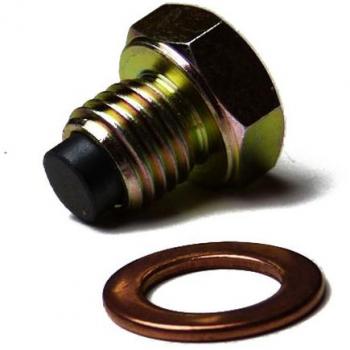 Cárter con 8 mm magnético para Shin Shineray 250stxe