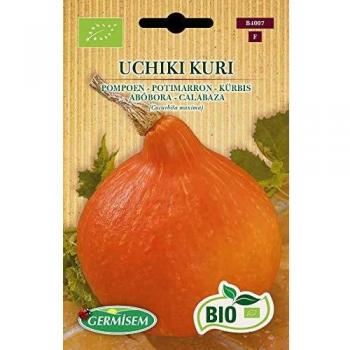 Germisem Orgánica Uchiki Kuri Semillas de Calabaza 3 g